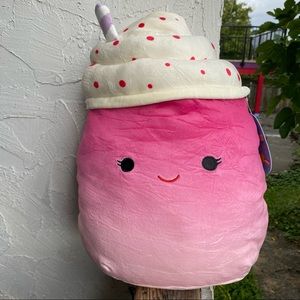 Cinnamon Squishmallow!